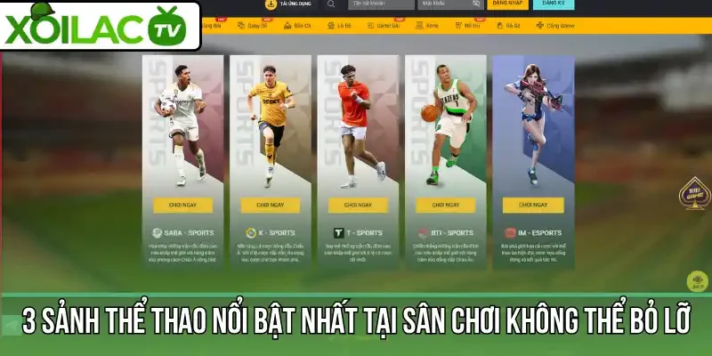 3 sảnh thể thao nổi bật nhất tại sân chơi không thể bỏ lỡ