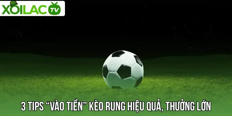 3 Tips “vào tiền” kèo rung hiệu quả, thưởng lớn