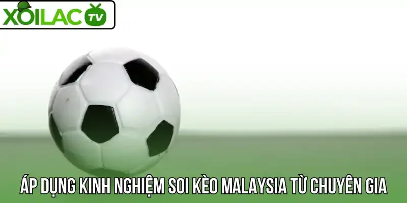 Áp dụng kinh nghiệm soi kèo Malaysia từ chuyên gia