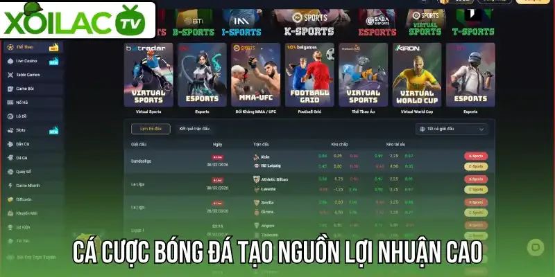 Cá cược bóng đá tạo nguồn lợi nhuận cao