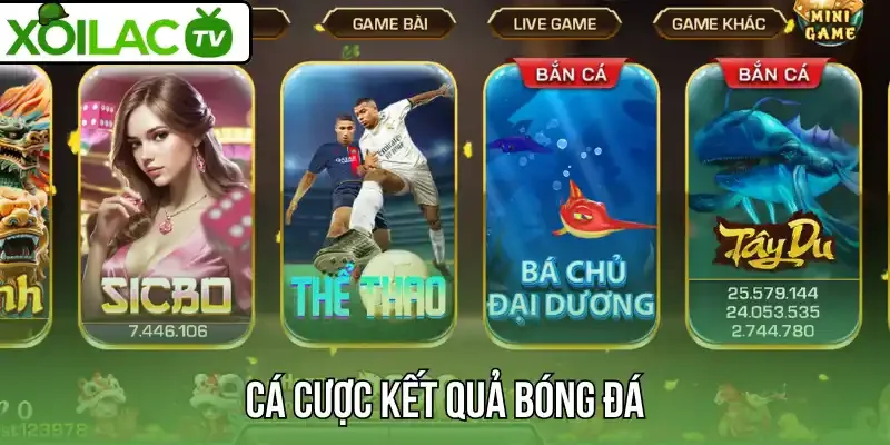 Cá cược kết quả bóng đá