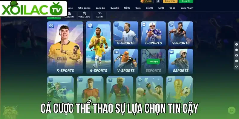 Cá cược thể thao sự lựa chọn tin cậy