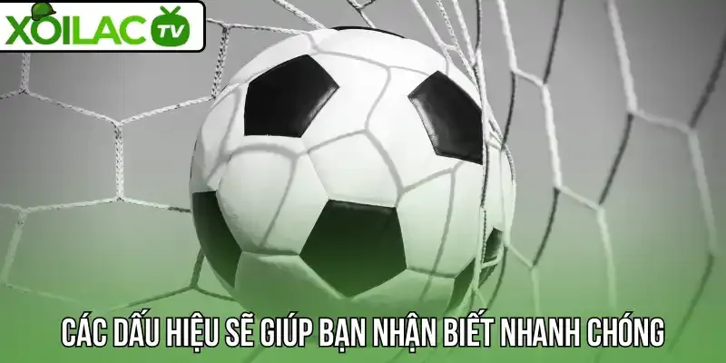 Các dấu hiệu sẽ giúp bạn nhận biết nhanh chóng