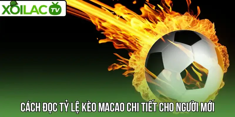Cách đọc tỷ lệ kèo Macao chi tiết cho người mới
