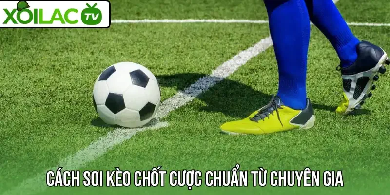 Cách soi kèo chốt cược chuẩn từ chuyên gia