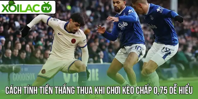 Cách tính tiền thắng thua khi chơi kèo chấp 0,75 dễ hiểu