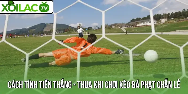 Chi tiết cách tính tiền thắng - thua khi chơi kèo đá phạt chẵn lẻ