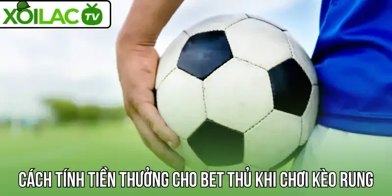 Cách tính tiền thưởng cho bet thủ khi chơi kèo rung