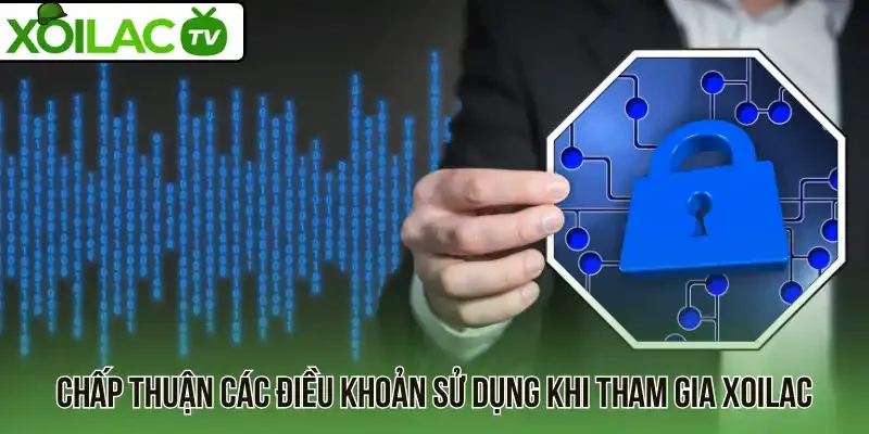 Chấp thuận các điều khoản sử dụng khi tham gia Xoilac