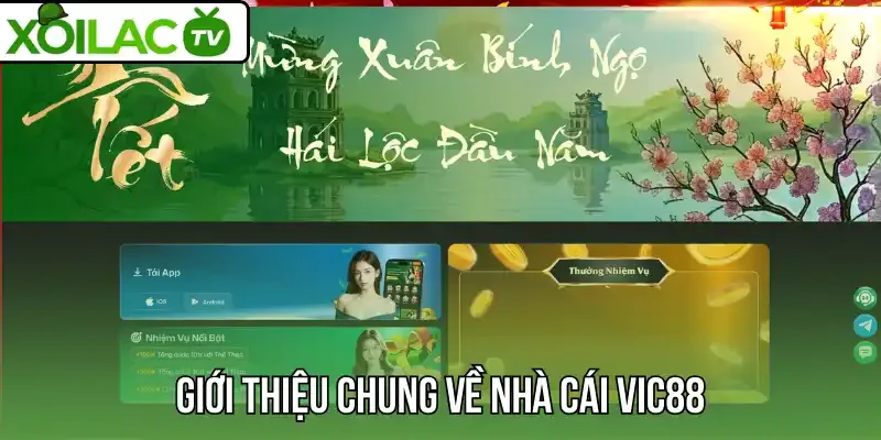 Giới thiệu chung về nhà cái Vic88
