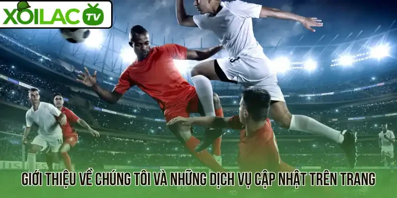 Giới thiệu về chúng tôi và những dịch vụ cập nhật trên trang