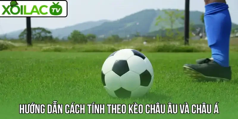Hướng dẫn cách tính theo kèo châu Âu và châu Á