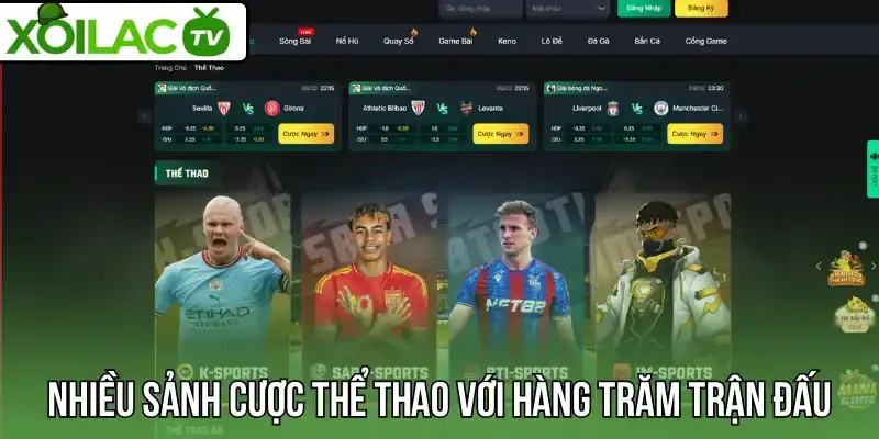 Nhiều sảnh cược thể thao với hàng trăm trận đấu