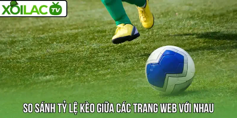 So sánh tỷ lệ kèo giữa các trang web với nhau
