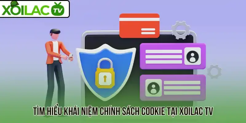 Tìm hiểu quyền và nghĩa vụ của người dùng với chính sách
