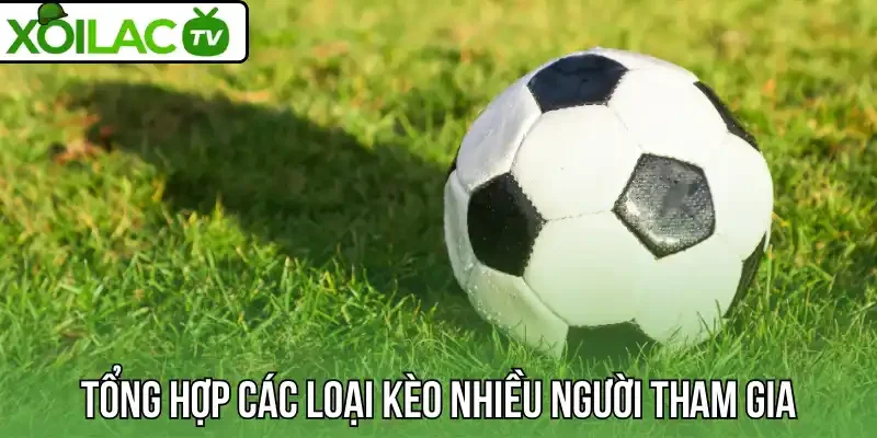 Tổng hợp các loại kèo nhiều người tham gia 