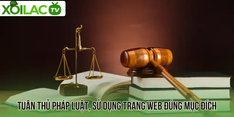 Tuân thủ pháp luật, sử dụng trang web đúng mục đích
