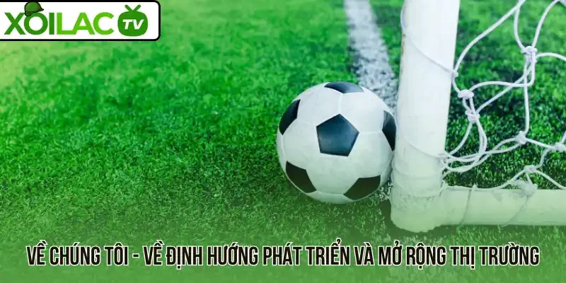 Về chúng tôi - Về định hướng phát triển và mở rộng thị trường